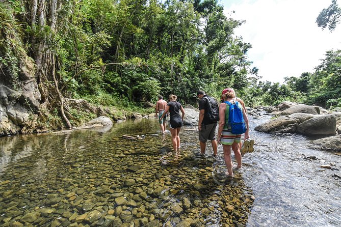 El Yunque Rainforest Tour from Fajardo - Las Tinajas and Charco Frio: the first pool