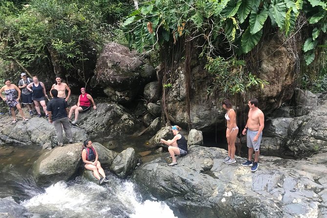 El Yunque Rainforest Tour from Fajardo - Rope swings, rock slides, and swimming