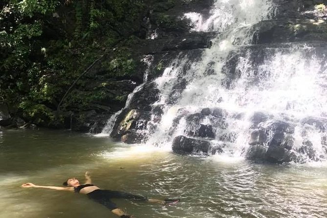 El Yunque Rainforest Tour from Fajardo - How weather and mud shape the day