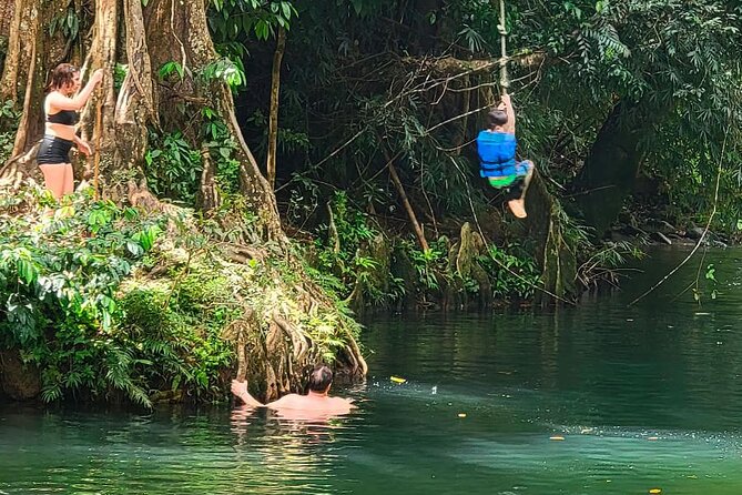 El Yunque Rainforest Tour Half Day Earlybird/ Small Groups - What the $89 price really includes