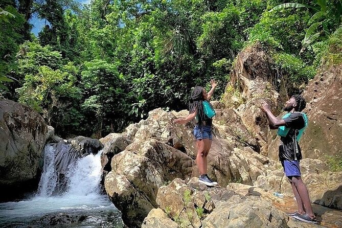 El Yunque Rainforest Tour Half Day Earlybird/ Small Groups - Safety rules you should take seriously