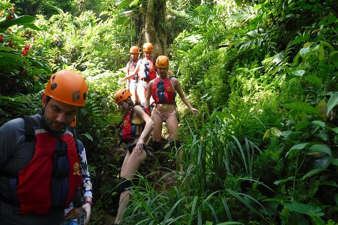 El Yunque Rainforest Tour: Natural Waterslides Adventure - Key points to know before booking