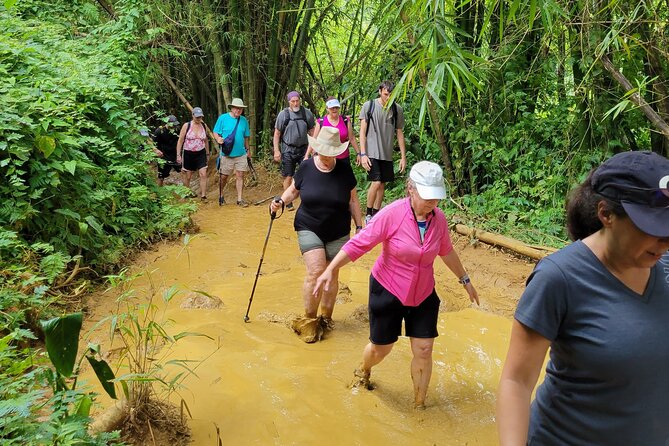El Yunque Rainforest - Waterslide, Cliff jump, and Rope swing! - A rainforest day that works for families