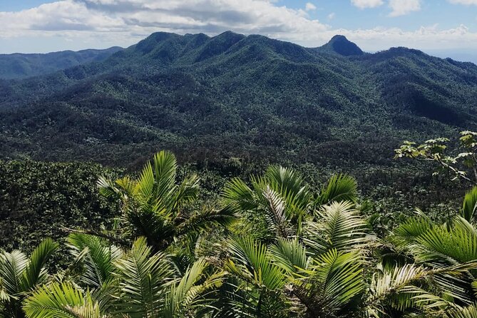 El Yunque Rainforest Waterslides and Luquillo Beach w/ Transport - The most important things to know