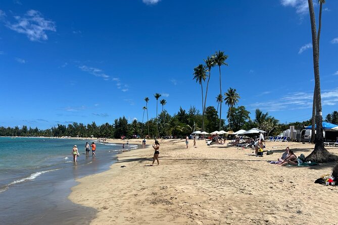 El Yunque Rainforest Waterslides and Luquillo Beach w/ Transport - The guides make a real difference