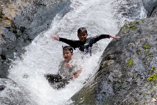 El Yunque Rainforest, Waterslides & Beach Tour from San Juan - What the guide adds to the forest walk