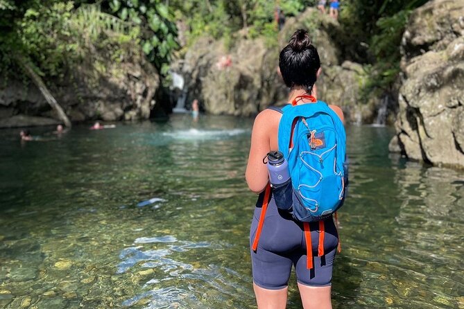 El Yunque Small Group Tour with Luquillo Lunch Stop and Transport - What the Guides Add to the Day