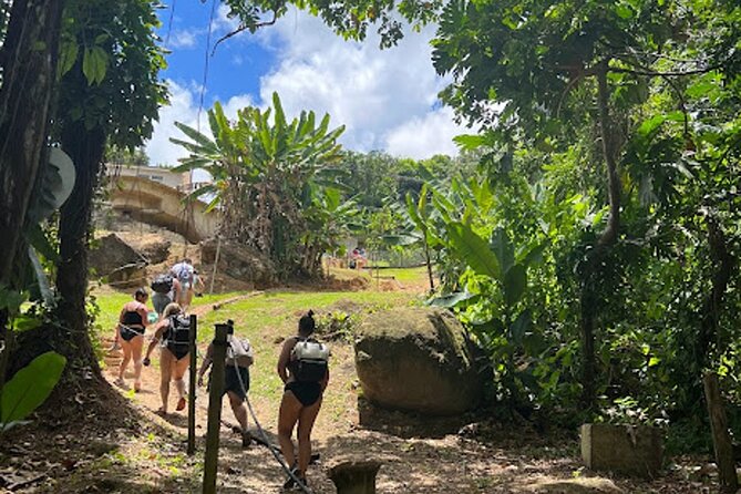 El Yunque Waterslide and Waterfall Tour with Food and Photos - The rainforest walk takes more effort than it sounds