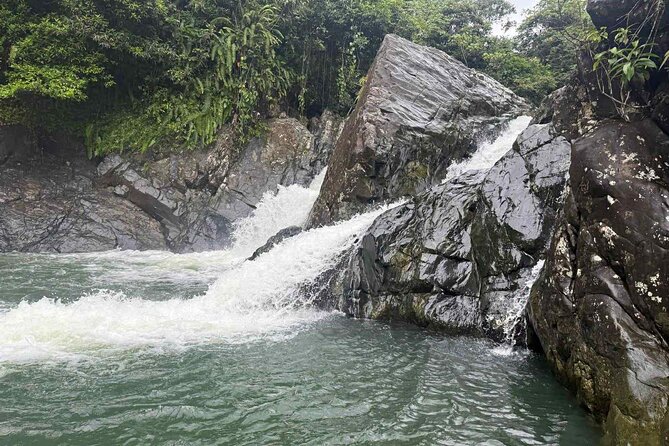 El Yunque Waterslides, Jumps, swing! small business owner:) - Key points to know before you book
