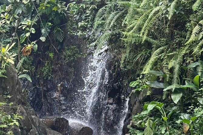 El Yunque Waterslides, Jumps, swing! small business owner:) - Why the guide matters so much