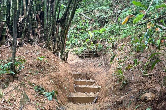 El Yunque Waterslides, Jumps, swing! small business owner:) - Is $40 a fair price?