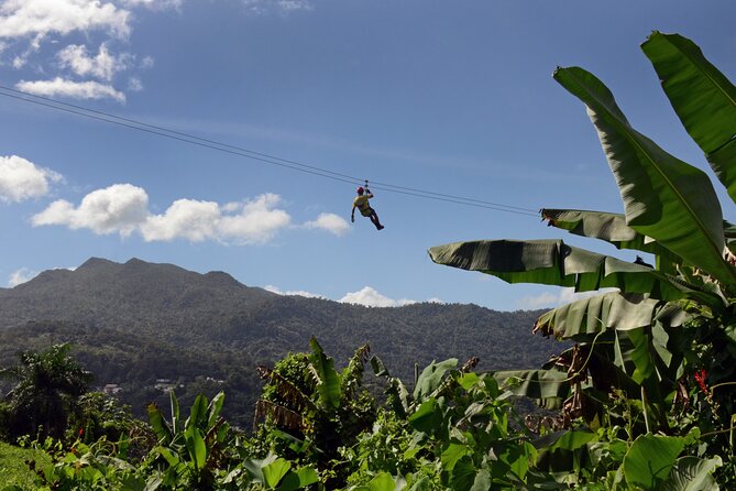 El Yunque Ziplining in Puerto Rico - Quick take: five ziplines, one rappel, plenty of forest