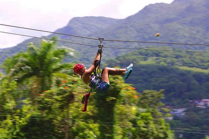 El Yunque Ziplining in Puerto Rico - A ten-minute hike that adds real local flavor