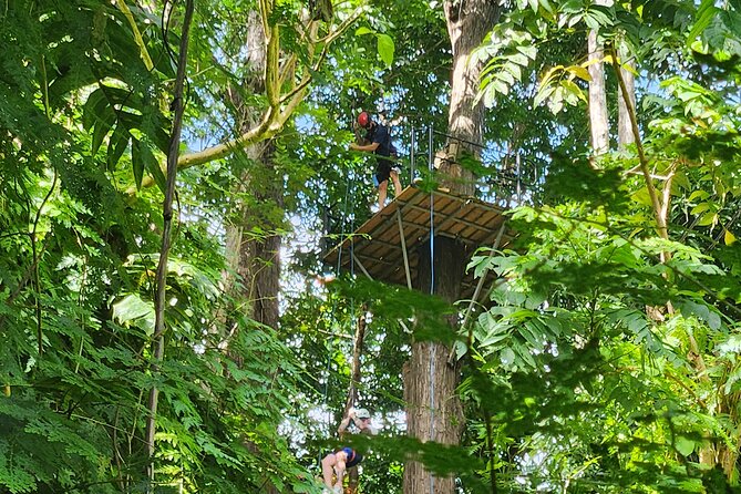 El Yunque Ziplining with River and Beach Visit - Who should book this active Puerto Rico outing?