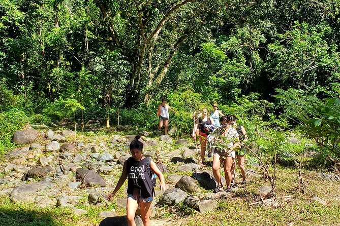 El Yunque Ziplining with River and Beach Visit - The zipline course at Junglequi Zipline Park
