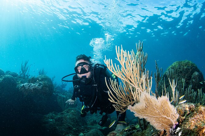 Experience Scuba - Key points to know before booking
