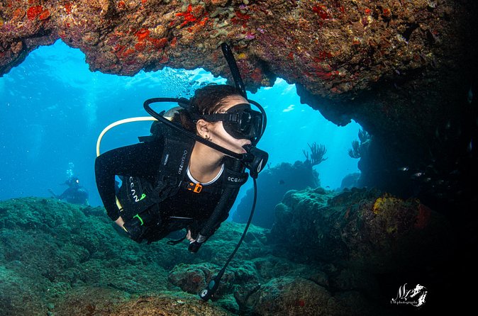Experience Scuba - Why small groups improve the experience