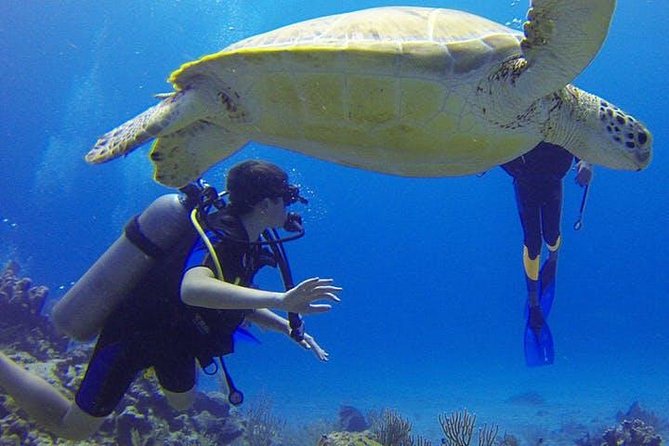 Experience Scuba Diving / NO certification Needed - What the $119 Price Really Includes