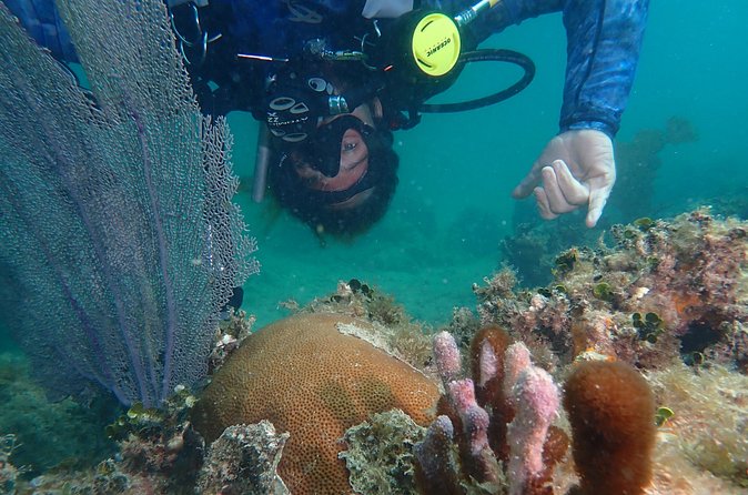 Experience Scuba Diving / NO certification Needed - Who Should Book This Activity?