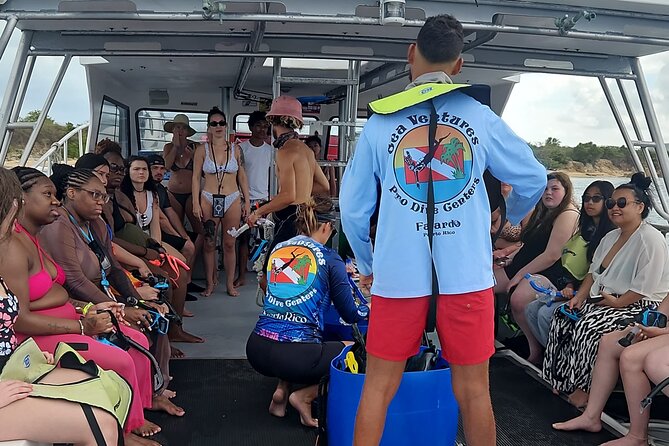 Fajardo Afternoon Snorkeling Adventure Tour - What you may see below the surface