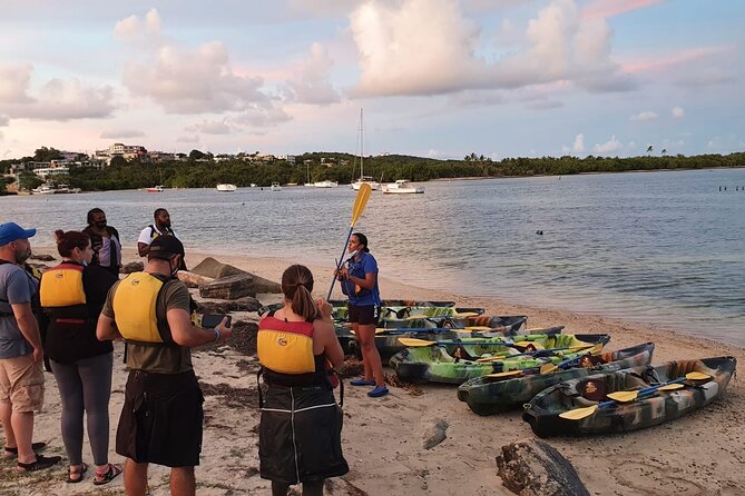 Fajardo Bioluminescent Bay Night Kayak Adventure from San Juan - Kayaking Village is the practical starting point