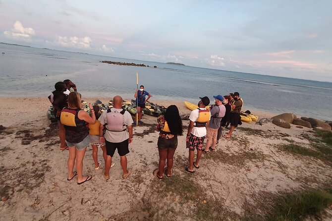 Fajardo Bioluminescent Bay Night Kayak Adventure from San Juan - Stars, fish, and the parts beyond the glow