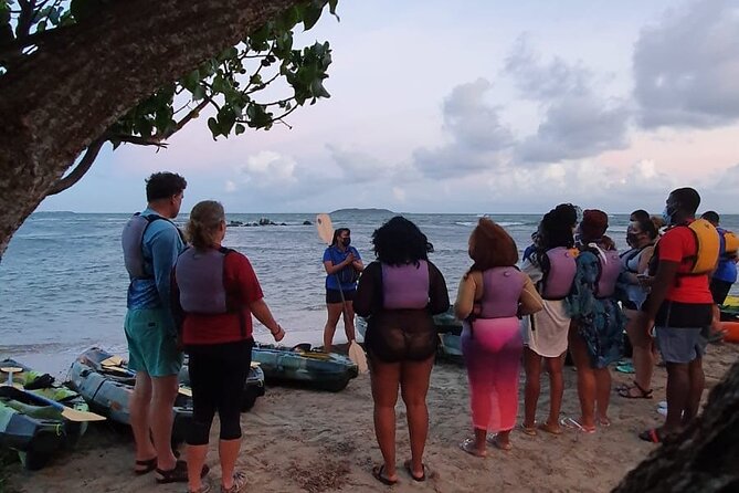 Fajardo Bioluminescent Bay Night Kayak Adventure from San Juan - Guides make a major difference