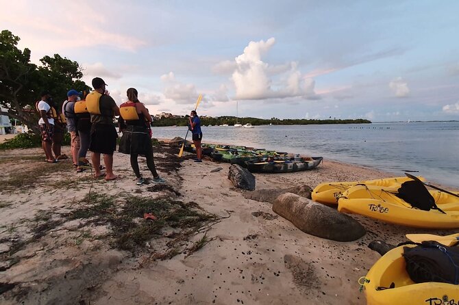 Fajardo Bioluminescent Bay Night Kayak Adventure from San Juan - Crowds can change the whole mood