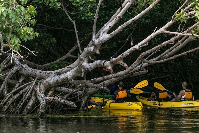 Fajardo Bioluminescent Bay Night Kayak Adventure from San Juan - The mangrove canal is half the adventure