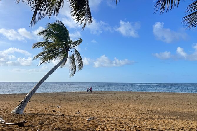 Fajardo Ceiba Ferry Marina Taxi to San Juan Taxi Transportation - Best uses for this private transfer