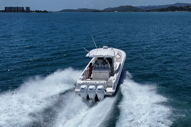 Fajardo Puerto Rico Island Adventure Private Boat Tour - What comes with the $243.83 price
