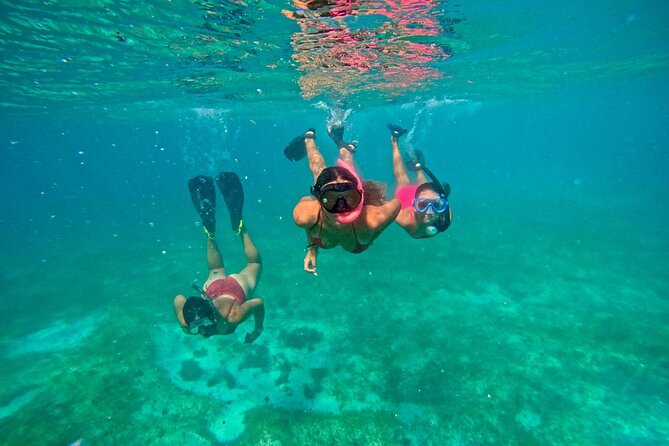 Fajardo, Puerto Rico: Morning Snorkeling Beach Tour - Key points at a glance
