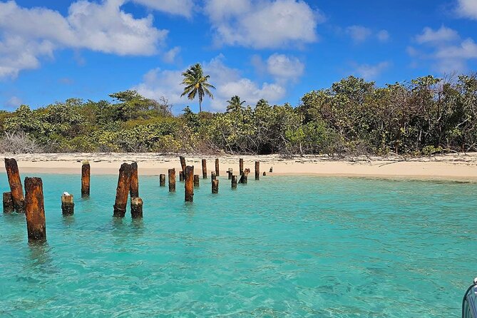 Fajardo Puerto Rico Private Boat Tour to Cayo Icacos - Drinks, Snacks, And The Food Question