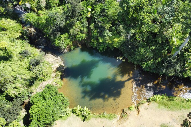 Famous Guavate Pork Road & Charco Azul Food & River Tour - Why this six-hour outing works so well