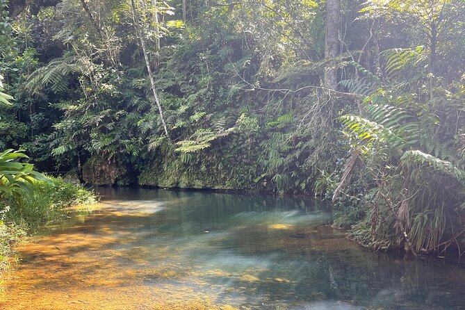 Famous Guavate Pork Road & Charco Azul Food & River Tour - Who will enjoy this outing most?
