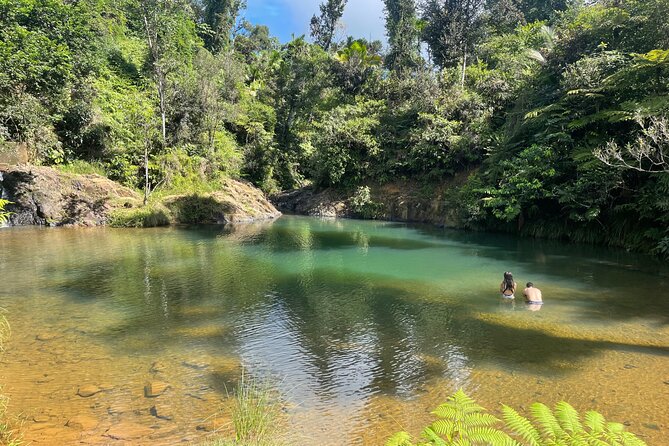 Famous Guavate Pork Road & Charco Azul Food & River Tour - Booking details and cancellation rules