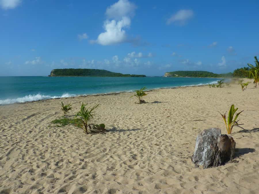 From Fajardo: Boat and Snorkeling in Culebra Island with All-Inclusive - Lunch, snacks, rum drinks, and the real meaning of all-inclusive