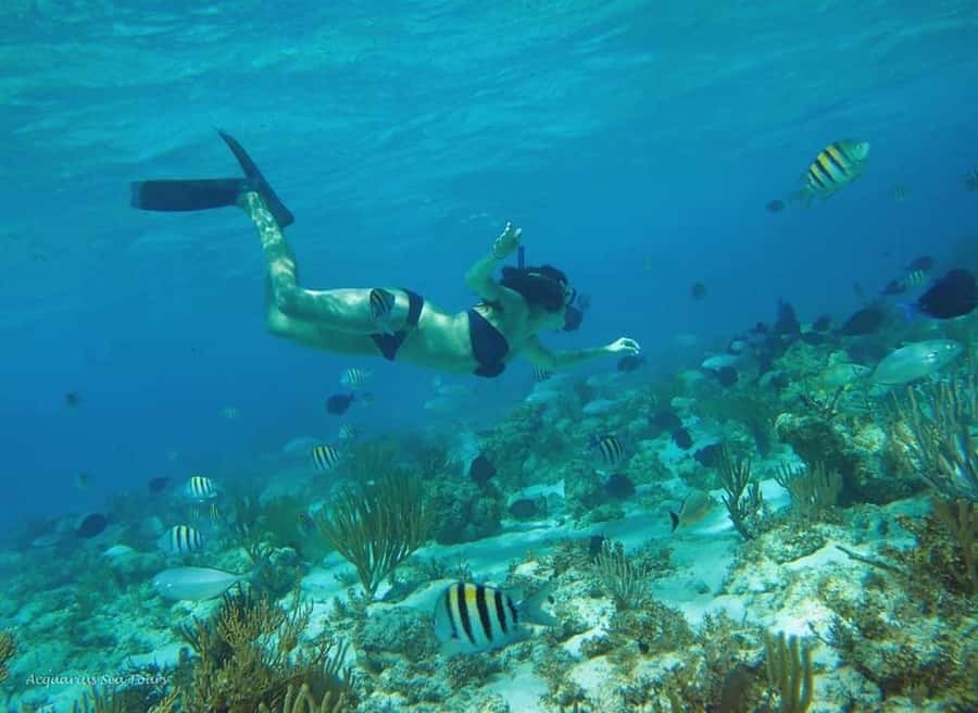 From Fajardo: Boat and Snorkeling in Culebra Island with All-Inclusive - Timing, fitness, and who should book