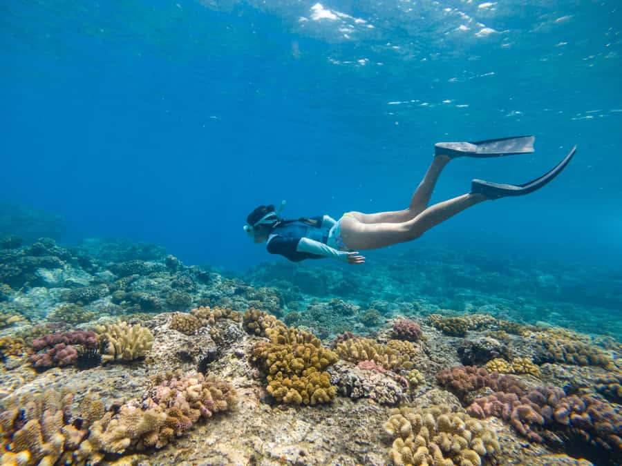 From Fajardo: Boat and Snorkeling in Culebra Island with All-Inclusive - A comfortable 46-foot boat for a six-hour outing