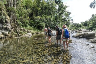El Yunque Rainforest Hiking Adventure