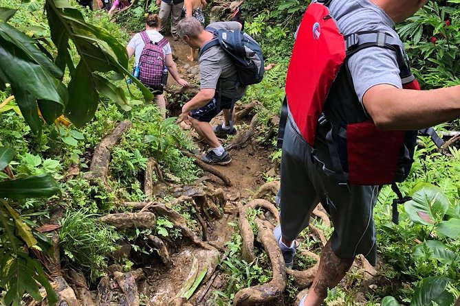 From San Juan: El Yunque Rainforest Hiking Adventure - What to wear for a wet, slippery hike