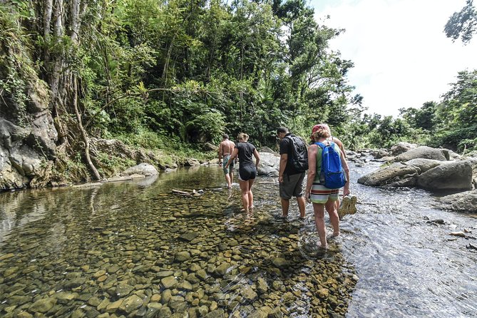 From San Juan: El Yunque Rainforest Hiking Adventure - The first 30 minutes: bamboo, river rocks, and a small waterfall