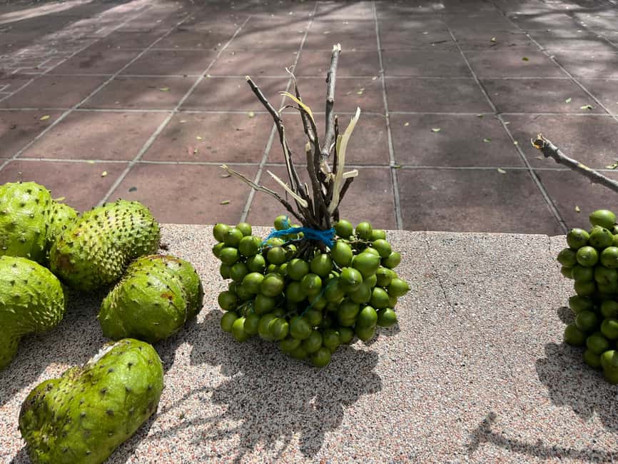 From San Juan: Full-Day Cultural Road Trip to Ponce - What the flexible format really means