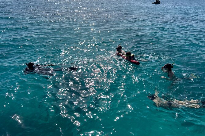 Full Charter All Inclusive for Icacos and Palomino - Who will enjoy this charter most?