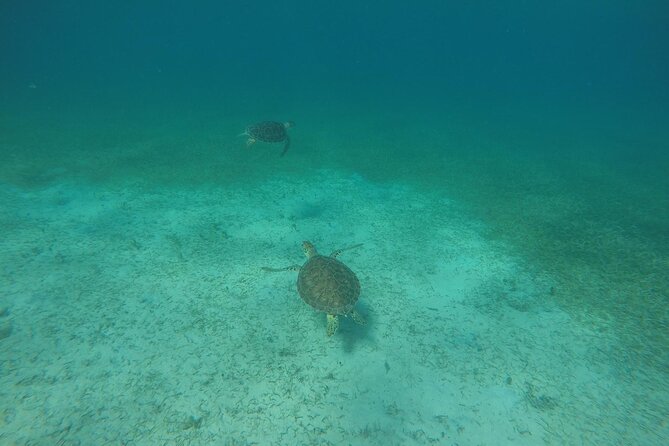 Full Day Charter from Fajardo to Culebra - Four hours at Honeymoon Beach