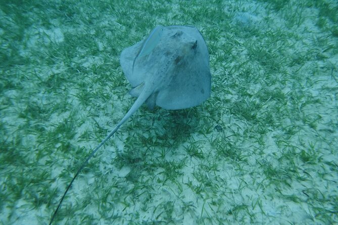 Full Day Charter from Fajardo to Culebra - What the crew adds to the day