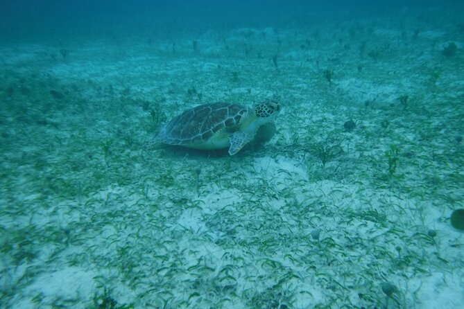 Full Day Charter from Fajardo to Culebra - Booking, weather, and cancellation details