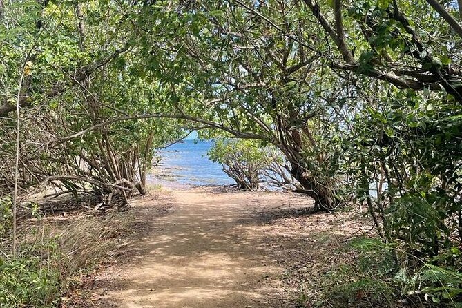 Full Day Eastern Island Tour - From San Juan to the eastern shore