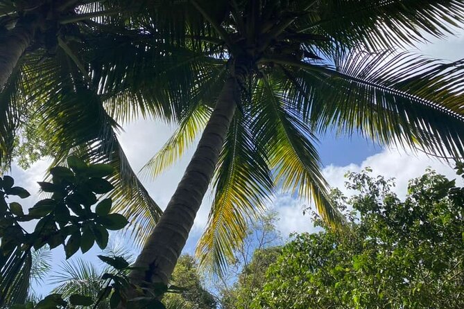 Full Day Eastern Island Tour - What the $125 price really covers