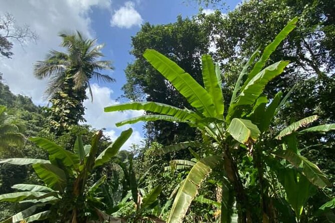 Full Day Eastern Island Tour - Prepare for heat, water, and plenty of walking